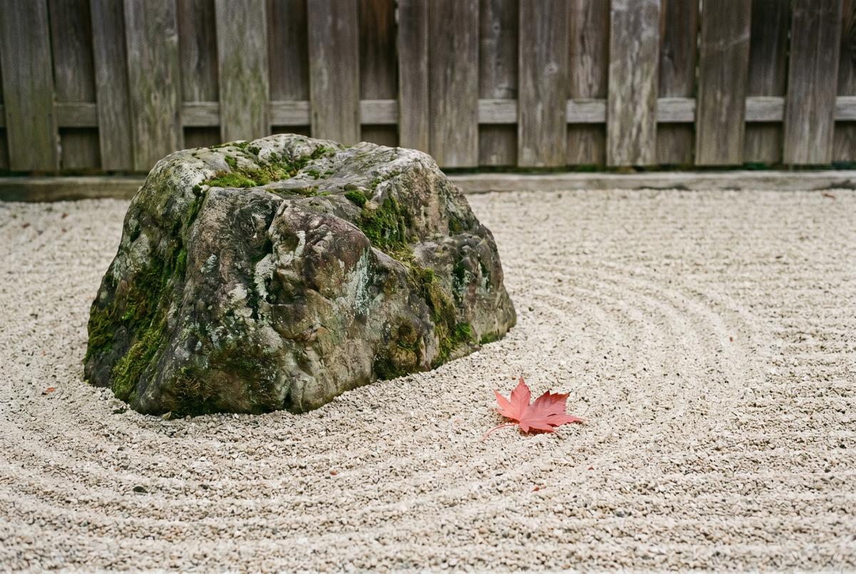 蘑菇视频 - 枯山水庭院的落叶侘寂影像